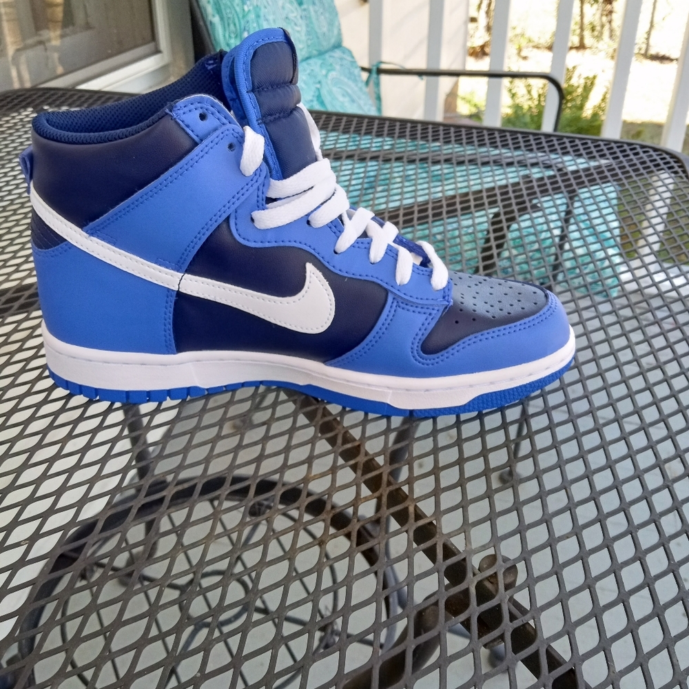 Nike Dunks Royal and Midnight Blue